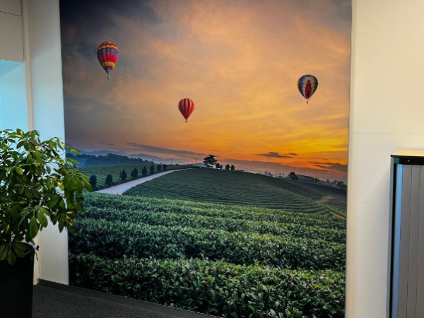 fullcolor1_1 fullcolor1_1